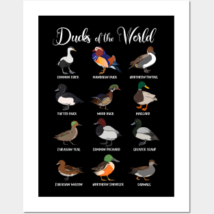 Different types of ducks - Ducks of the world Posters and Art